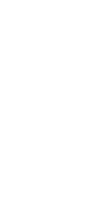 banner-shape-2.png
